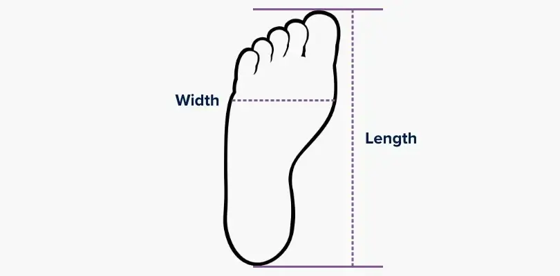 Step 4: Measuring foot width at the widest point of the forefoot using a ruler to determine proper shoe width